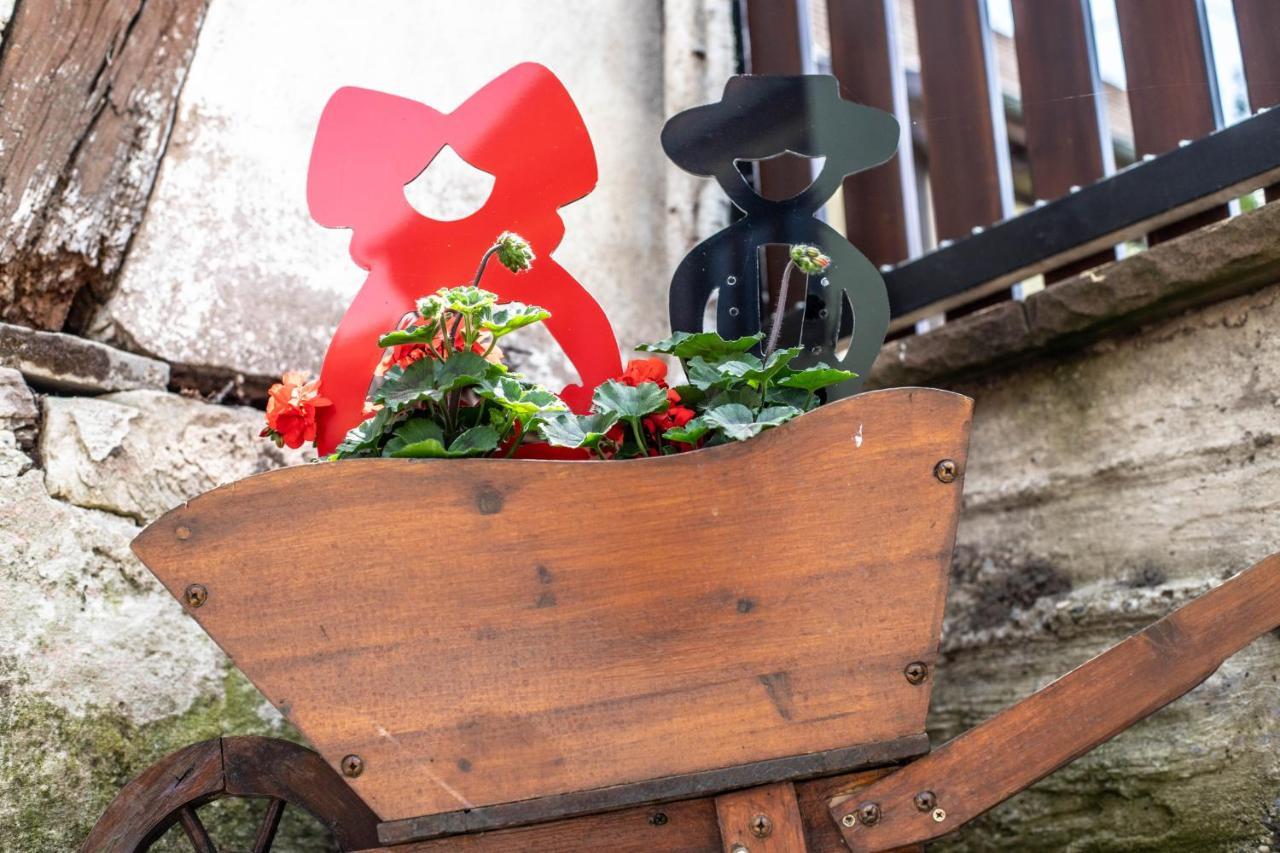 Gite Le Coeur D'Alsace Boofzheim Eksteriør billede