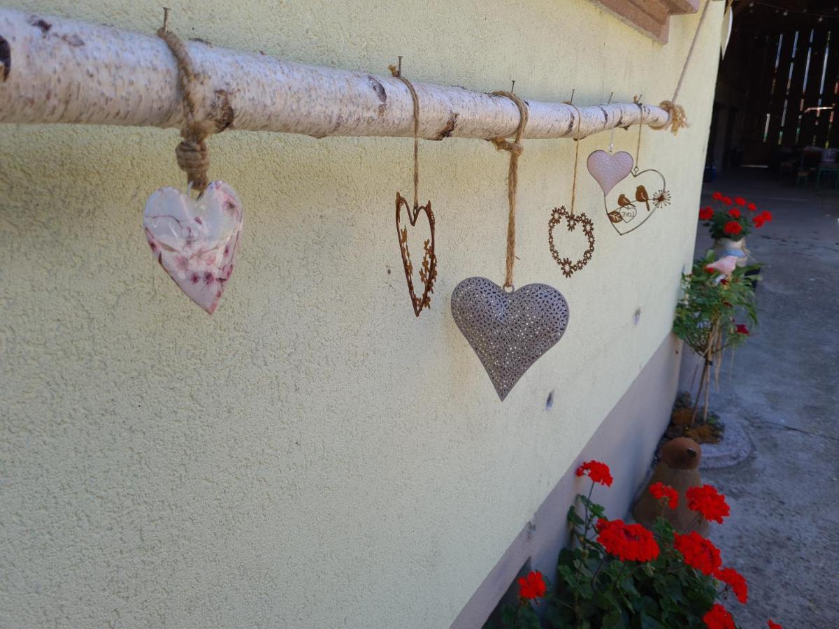 Gite Le Coeur D'Alsace Boofzheim Eksteriør billede